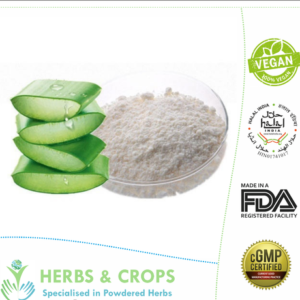 Aloe Vera Gel Powder