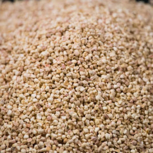 Corncob Grit
