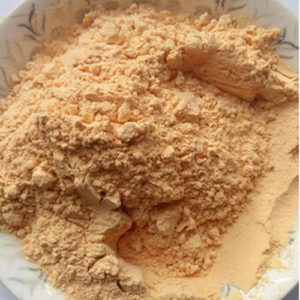 Dehydrated Carrot Powder