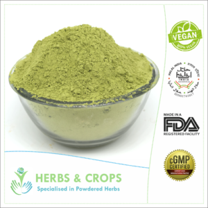 Eucalyptus Leaves Powder For Skin