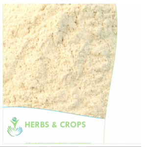 Kapikacchu Powder (Mucuna Pruriens)