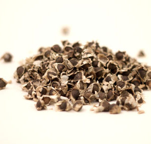 Moringa Seeds