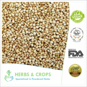Quinoa Seeds