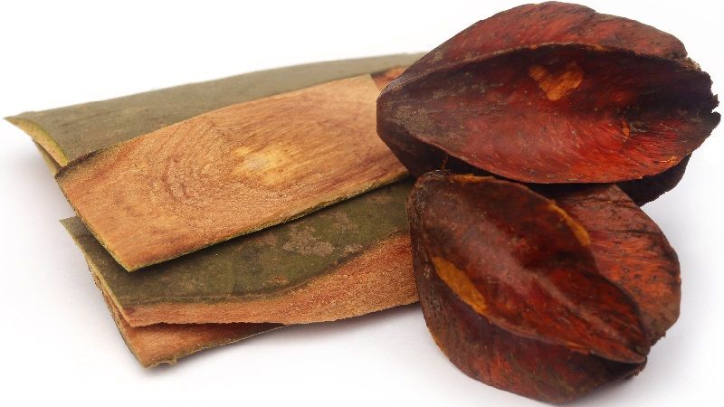 Arjuna Chhal / Arjuna Bark / Terminalia Arjuna