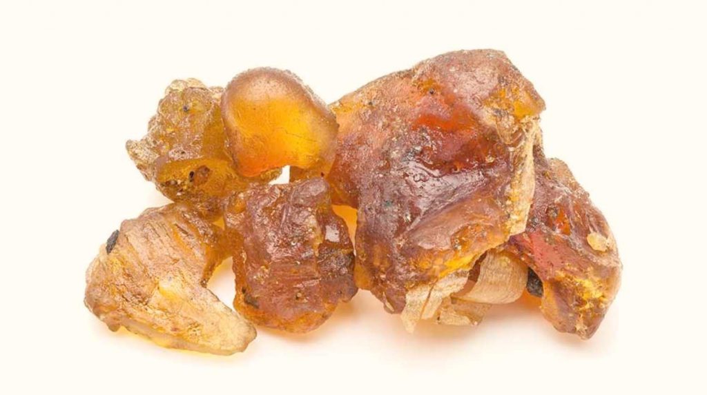 Gokul Dhoop / Guggul / Bdellium