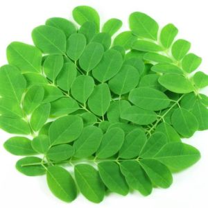 Moringa